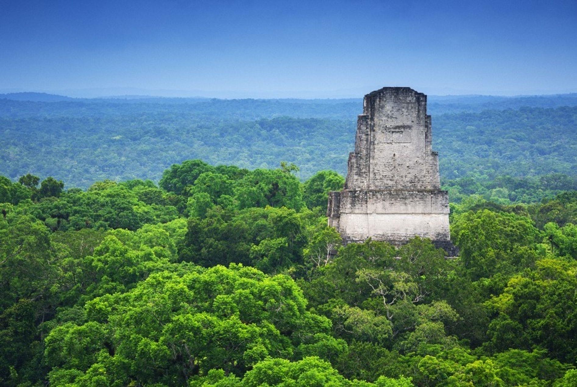 Civilización – Un vasto reino maya descubierto en las selvas de Guatemala
